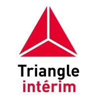 Triangle Interim Solutions RH