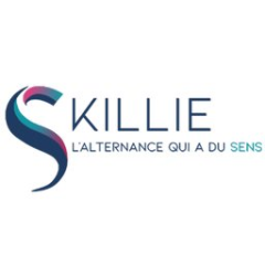 Skillie