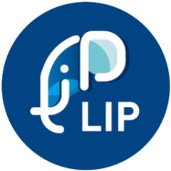LIP Transport Dijon