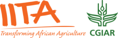 International Institute of Tropical Agriculture(IITA)
